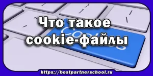Что такое cookie-файлы